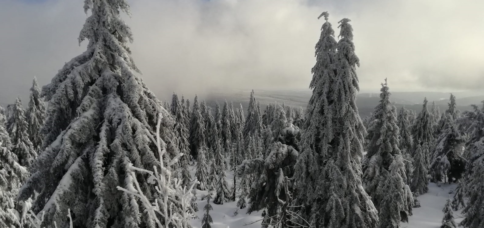 Der Einsiedler Skiverein wünscht ein frohes neues Jahr 2019