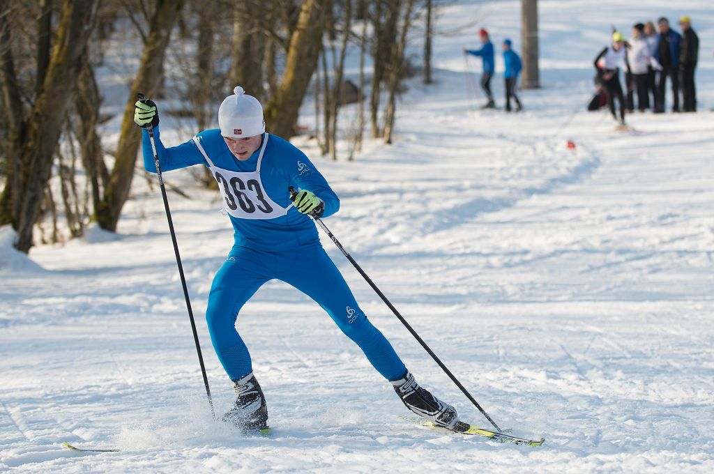 Sachsenmeisterschaften im Skilanglauf 2015